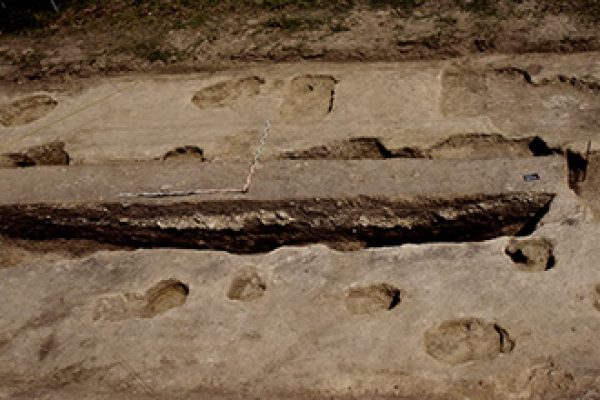 arton12.jpg